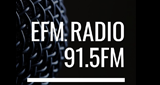 Logo Efm Radio 91.5FM