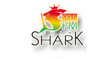 Logo Route 99 FM