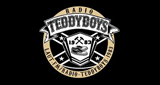 Logo Radio Teddyboys 1983