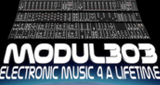 Logo Modul303