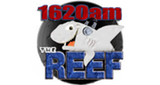 Logo WDHP The Reef