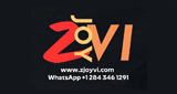 Logo ZJoyVI