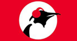 Logo Pinguin World