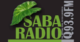 Logo Q93.9 FM