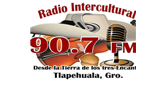 Logo Radio Intercultural 90.7 Fm