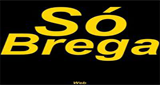 Logo Rádio Só Brega
