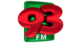 Logo Radio 93 FM