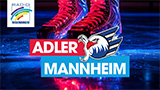 Logo Radio Regenbogen - Adlerstream