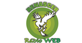 Logo Renascer Rádio Web
