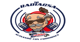Logo RADIAGSA