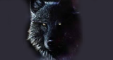 Logo Dark Lupu