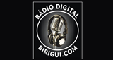 Logo Rádio Digital Birigui
