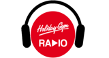 Logo Holiday Gym