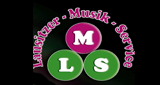 Logo Lausitzer-Musik-Service
