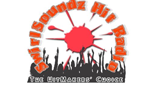 Logo SwirlSoundz Hit Radio