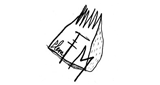 Logo Plem FM