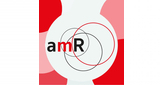 Logo amR