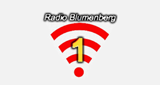 Logo Radio Blumenberg 1