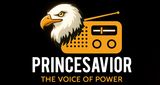Logo Princesavior