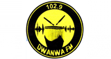 Logo Dwanwa FM 102.9