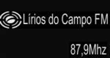 Logo Rádio Lírios do Campo FM
