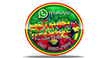 Logo Rádio Estação Reggae