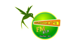 Logo Rádio Primavera FM