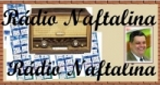 Logo Rádio Naftalina Web