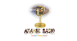 Logo ANANSE RADIO