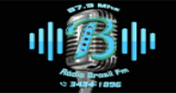 Logo Rádio Brasil FM
