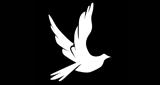 Logo Xvh Radio