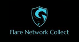 Logo Flare Network