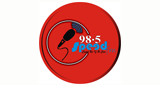 Logo ASKiNG Radio SPEED FM