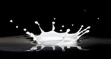 Logo Milkdrop