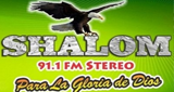 Logo Shalom