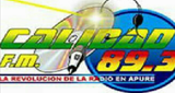 Logo Calidad