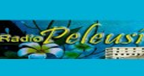 Logo Radio Peleusi