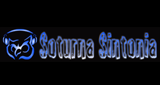 Logo Soturna Sintonia