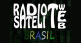Logo Satelite Web Brasil