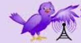 Logo Radio Palermo