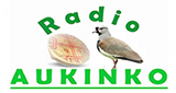 Logo Radio Mapuche Aukinko