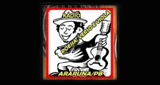 Logo Rádio Poesia Verso e Viola