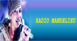 Logo Radio Mandelieu