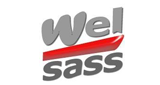Logo Welsass
