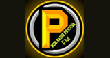 Logo Web Radio Positiva Fm