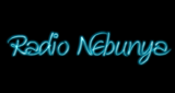 Logo Radio Nebunya