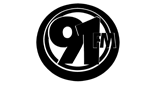 Logo Rádio 91 FM