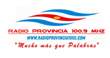 Logo Radio Provincia 100.9 FM