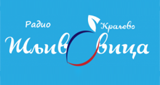 Logo Radio Šljivovica