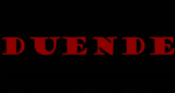 Logo Бинар - Дуенде